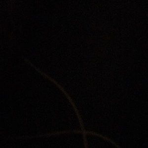 Meet your Posher, Bryana